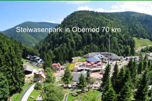 Steiwasenpark in Oberried 70 km
