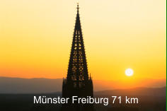 Mnster Freiburg 71 km