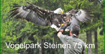 Vogelpark Steinen 75 km
