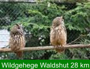 Wildgehege Waldshut 28 km