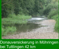Donauversickerung in Möhringen bei Tuttlingen 42 km